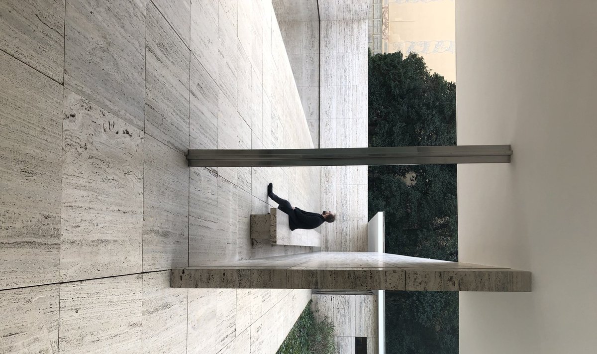 Rytis Zemkauskas. Meno kūrinys - Ludwig Mies van der Rohe Barselonos paviljonas.