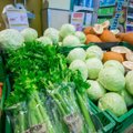 Prekybos tinkluose – pirmosios lietuviškos daržovės: kaina ūkyje ir parduotuvėje skiriasi dvigubai