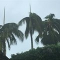 Uraganas „Nicole“ į Bermudą atnešė stiprius vėjus ir pasitraukė į vandenyną