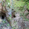 В знаменитой Коровьей пещере – неожиданные изменения: вниманию посетителей