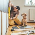 Kaip ir kokius įrankius rinktis, jeigu remontą namuose atliekate patys?