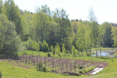Autorės nuotr.