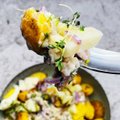 Keptų bulvių ir silkės salotos – dar vienas patiekalas Kūčioms