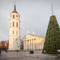 Vilniuje jau kyla Kalėdų eglutė