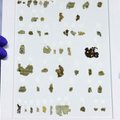 Izraelyje atrasti 2 000 metų senumo biblinio rankraščio fragmentai