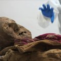 Ekvadoro mumija padės suprasti iš Europos į Naująjį pasaulį patekusių ligų istoriją