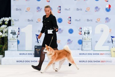 „World Dog Show 2021“ nugalėtojai iš Lietuvos