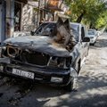 Delfi rytas. Karas iš arti: fotožurnalisto Balkūno įspūdžiai grįžus iš karštojo taško Kalnų Karabache