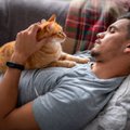 Kačių elgesys ir psichologija: kaip atpažinti, kada katė laiminga, o kada jaučia nerimą?