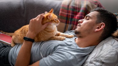 Kodėl katė atsigula ant žmogaus: „mistinis“ paaiškinimas jus nustebins