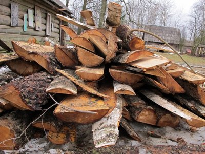 Lietuvoje pavyksta išsiaiškinti 70 proc. medienos vagysčių atvejų