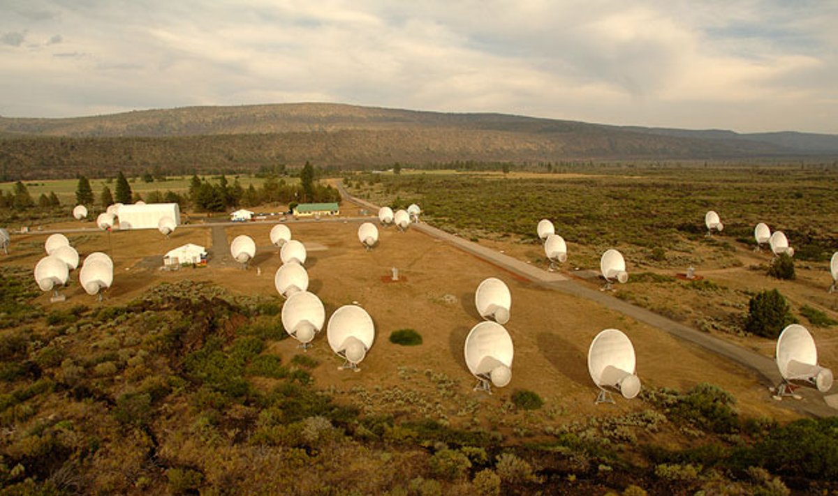 ATA teleskopų masyvas (SETI nuotr.)