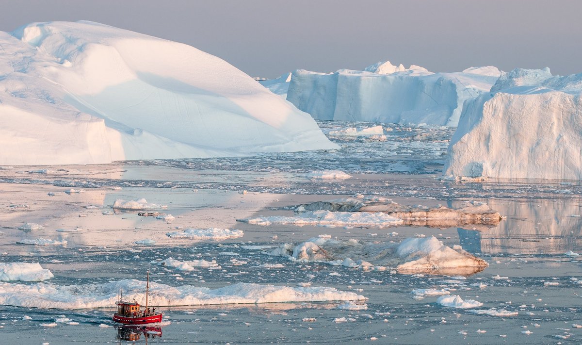 Grenlandijos ledynai