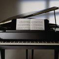 Culture Committee asks society to help Seimas buy grand piano