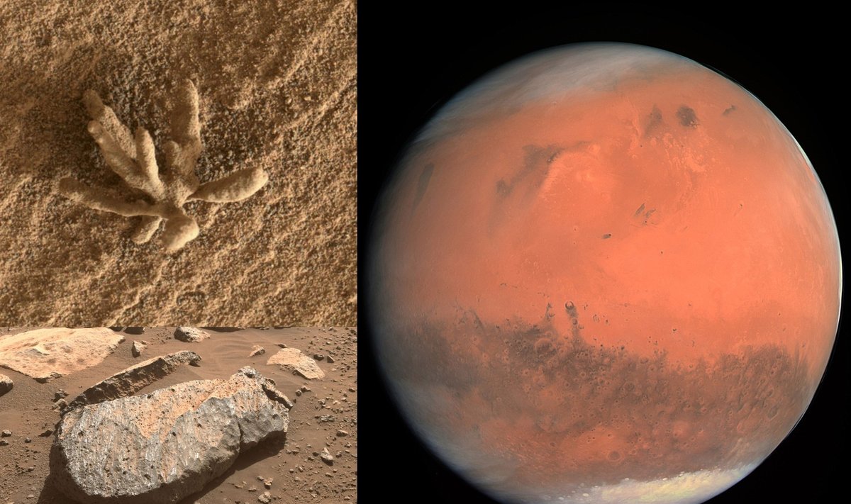 Marse vykdomos gyvybės paieškos ir randama įdomių struktūrų.