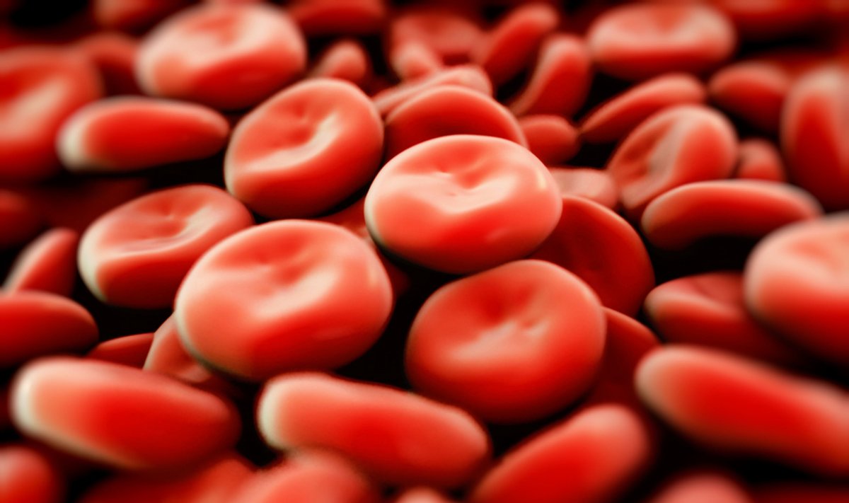 kraujas, hemoglobinas, ląstelės