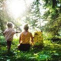 Kodėl mums gyvybiškai svarbu būti miške: Shinrin yoku metodą pagrindžia mokslas