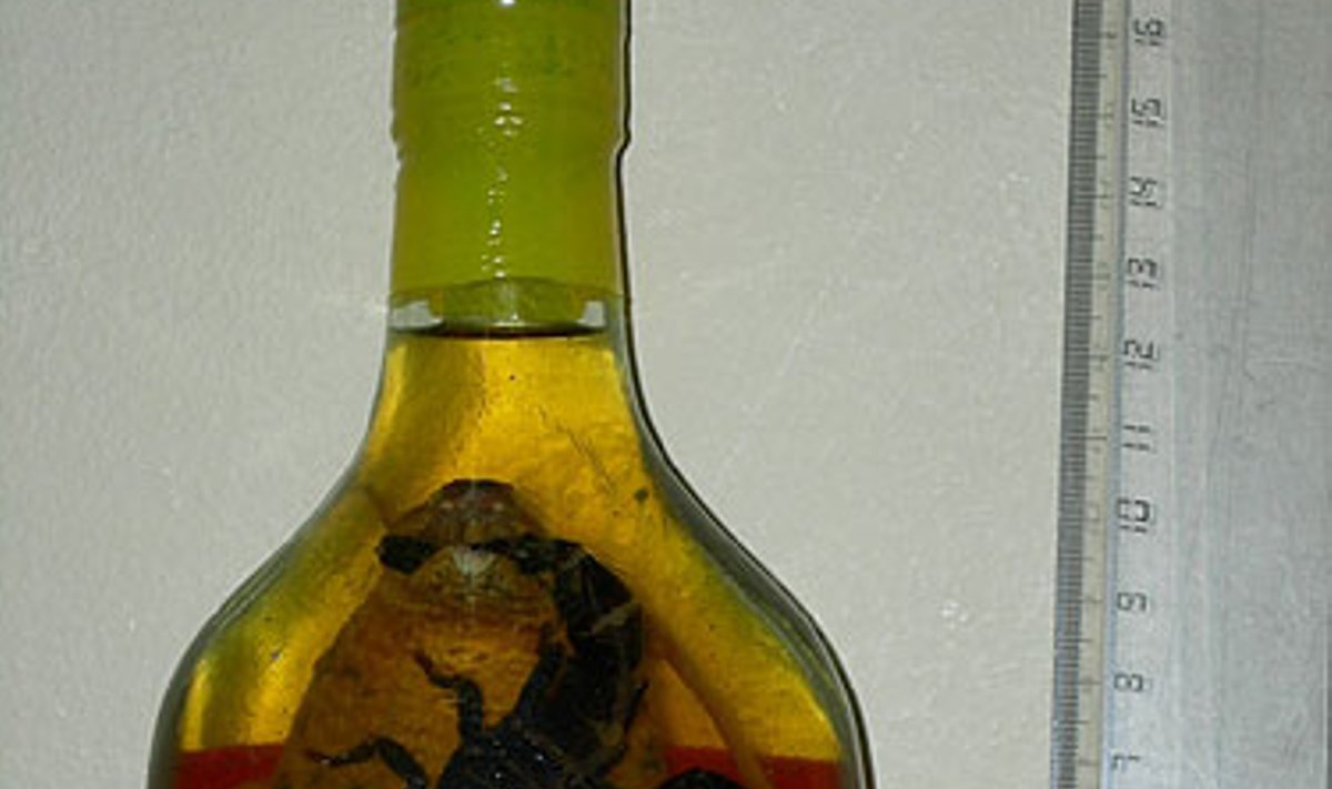Gyvatė ir skorpionas butelyje (Muitinės nuotrauka)