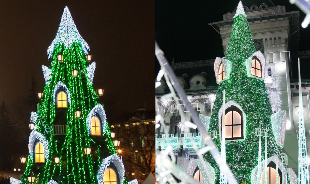 Kairėje Vilniaus eglė, dešinėje Krajovos eglė