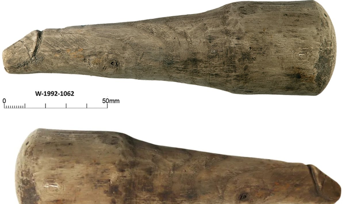 Medinis penio formos įnagis buvo naudojamas Romos imperijos laikais. R. Sands/R. Collins/Vindolanda Trust nuotr. 