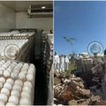Ar tikrai tūkstančiai kiaušinių buvo sunaikinti, siekiant specialiai sukelti badą?