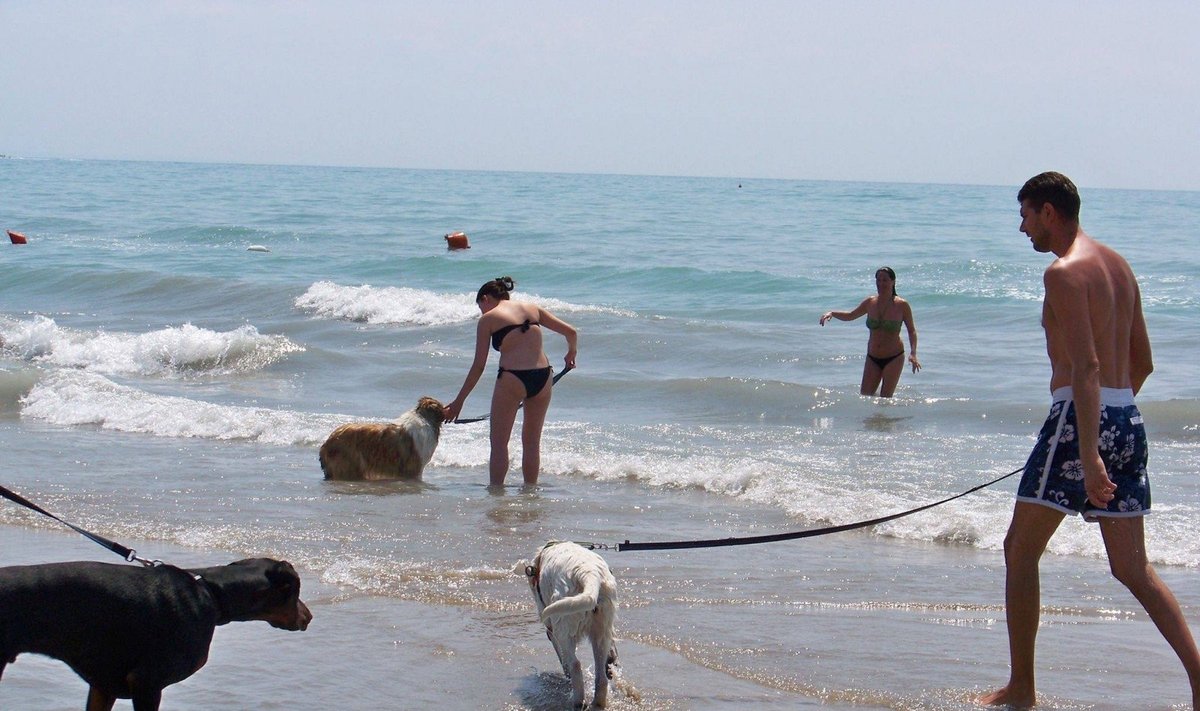 Šunų paplūdimiai