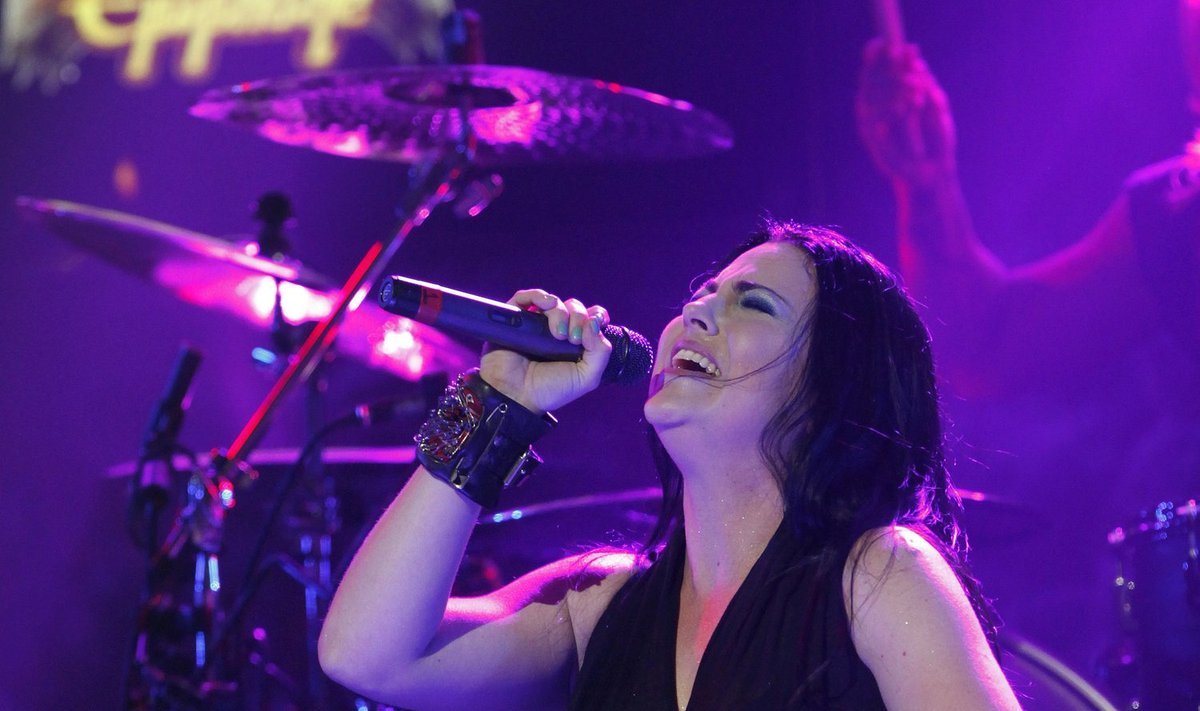 Amy Lee iš grupės "Evanescence"