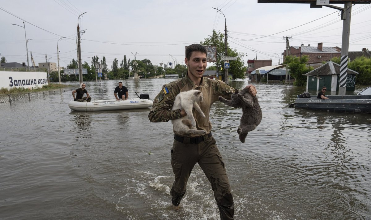 A volunteer evacuates cats from a flooded neighborhood in Kherson, Ukraine, Wednesday, June 7, 2023. Floodwaters from a collapsed dam kept rising in southern Ukraine on Wednesday, forcing hundreds of people to flee their homes in a major emergency operation that brought a dramatic new dimension to the war with Russia, now in its 16th month. (AP Photo/Evgeniy Maloletka)  MAL101