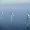 Jūroje netoli Fukušimos bus statomas didžiausias pasaulio vėjo jėgainių parkas