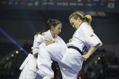 Pasaulio kiokušin karatė čempionato kovos dėl medalių (Foto: Jonas Pivoriūnas)
