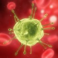 Hepatito virusai plinta skirtingais būdais