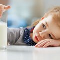 VPT: Vilniaus valdžia turi iš naujo vertinti, ar „Pontem“ gali tiekti pieną darželiams