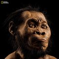 Naujos išvados: primityvūs žmonės galėjo gyventi su šiuolaikiniais žmonėmis