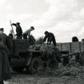 Po šios istorijos bus aišku, kodėl rusai taip pasielgė su Buča: kai sovietai į Lietuvą atsiuntė derlių nuimti „matrosus“, gyventojus ginti stojo net stribai