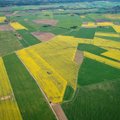 Baigiasi žemės ūkio naudmenų ir pasėlių deklaravimas