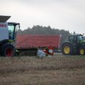 В Беларуси — неурожай зерна. Как по этому показателю страна выглядит на фоне Литвы