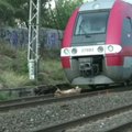 Pietų Prancūzijoje traukinys atsitrenkė į nuvirtusį medį