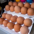Taivano parduotuvėse baigėsi kiaušiniai, tas pats laukia ir Lietuvos