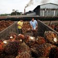 JAV kirto Malaizijos gamintojui dėl nesąžiningo elgesio su darbuotojais