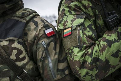 Lenkijos ir Lietuvos kariai