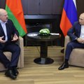 ISW: Путин не уговорил Лукашенко вступить в войну с Украиной