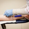 Ligoninėse pavojingai sumažėjo kraujo atsargos