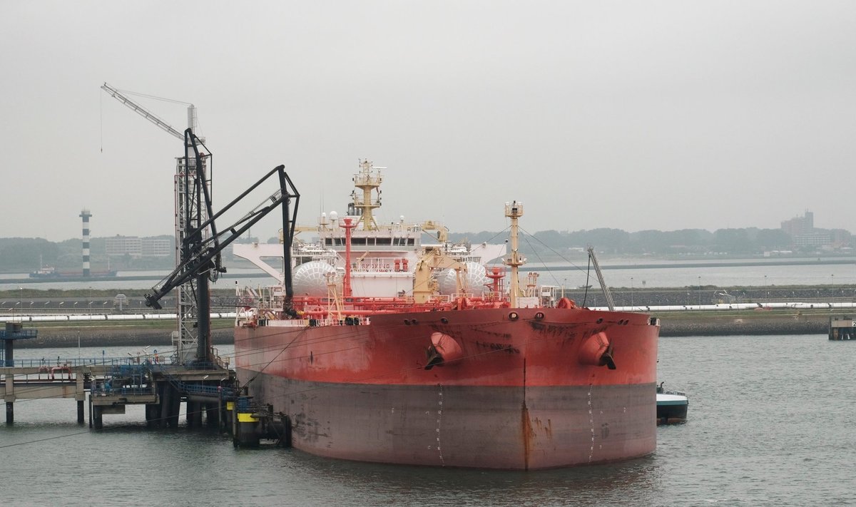Naftos tanklaivis Roterdamo uoste