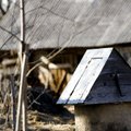 Ekstremali situacija Lietuvos kaime: tikras detektyvas – kur dingo vanduo