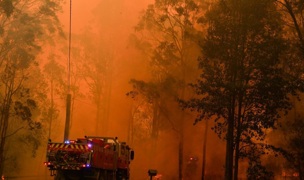 Į šiaurę nuo Sidnėjaus 8 miškų gaisrai susijungė į vieną milžinišką gaisrą
