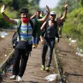 „120s“ žinios: pabėgėlių krizė Europoje artėja prie kulminacijos