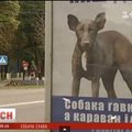 Ukrainiečiai rado, kur panaudoti į V. Putiną panašaus šuns atvaizdą