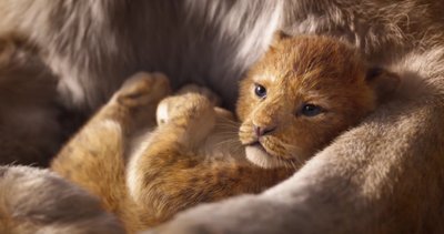 Filmo "Liūtas karalius" kadras