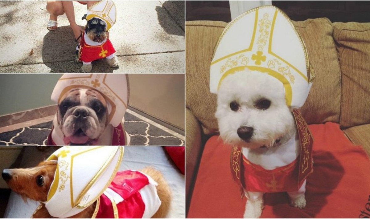 Šunys su popiežiaus kostiumais