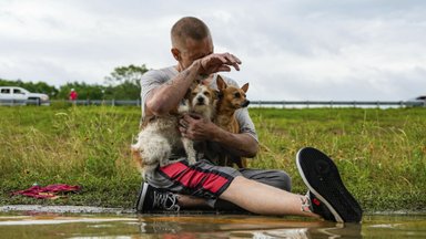 Teksaso valstiją užliejo potvynis – nufilmuota, kaip iš vandens nasrų gelbsti ne tik žmones, bet ir gyvūnus